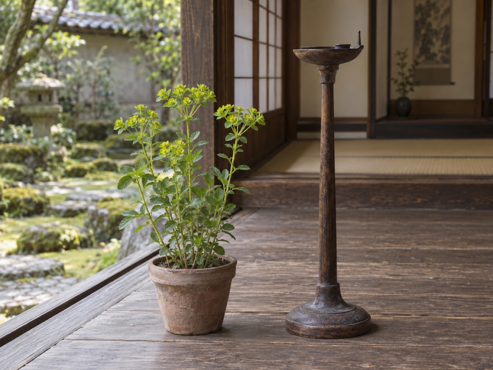縁側の板の間に、黄緑の苞を傘のように広げた野草のトウダイグサと、油皿をのせた木製の古い燈台が並んでいる