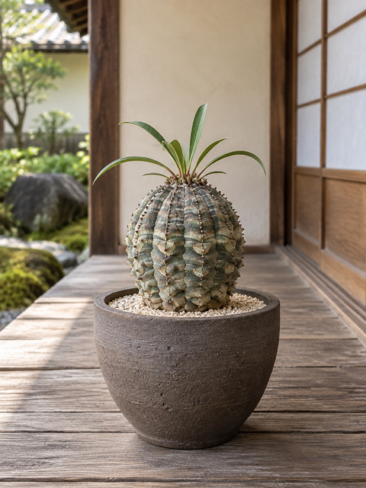 オベサ鉄甲（イメージ）